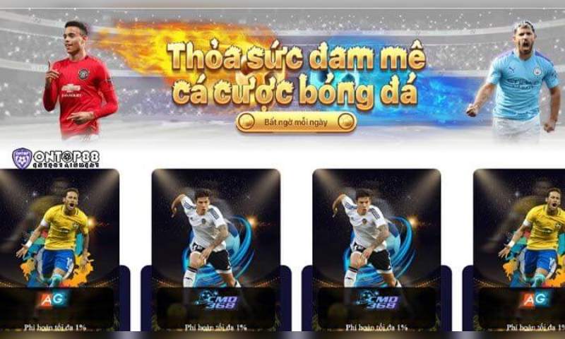 Cá cược thể thao hấp dẫn với nhiều sảnh chất lượng